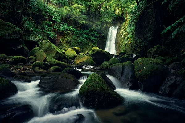 Waterfalls: Primeval World by Stefan Hefele