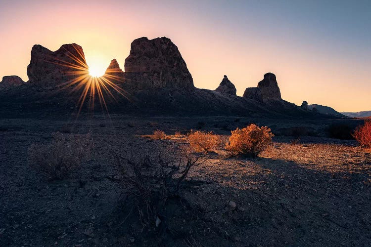 Resurrection by Stefan Hefele wall art