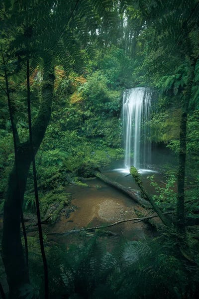 Secret Veil by Stefan Hefele acrylic art print