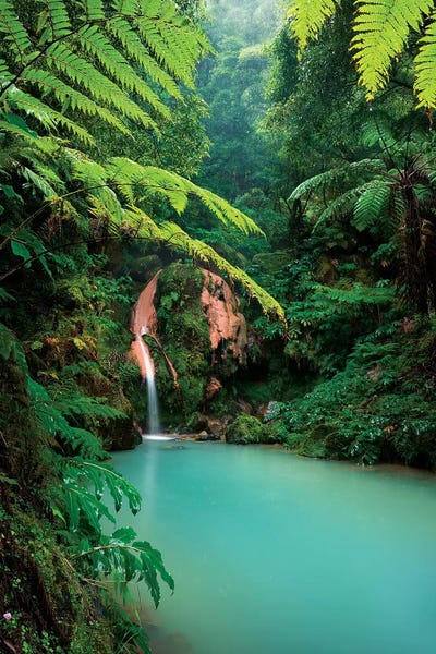 Waterfalls: Sensual Woods by Stefan Hefele