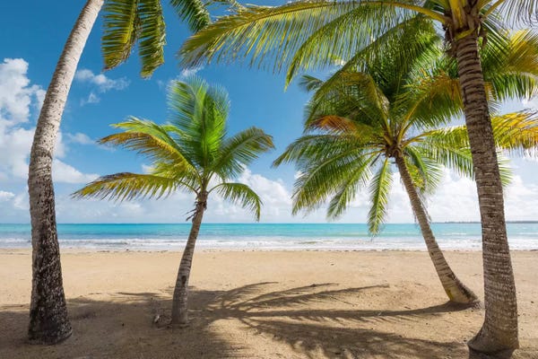 Puerto Rico: Caribbean Days - Puerto Rico IV by Stefan Hefele