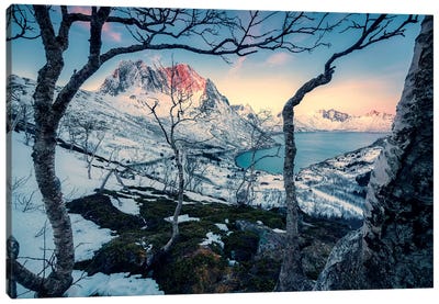 This is Norway Canvas Art Print - Stefan Hefele