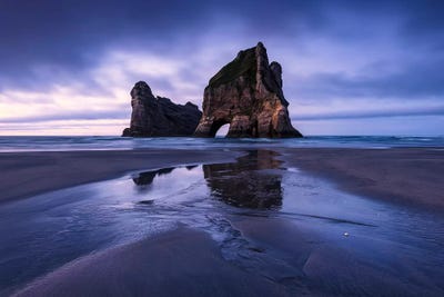 Wharariki by Stefan Hefele canvas print