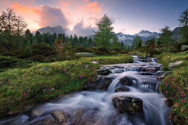 Rivers, Creeks & Streams: Wild Paradise by Stefan Hefele
