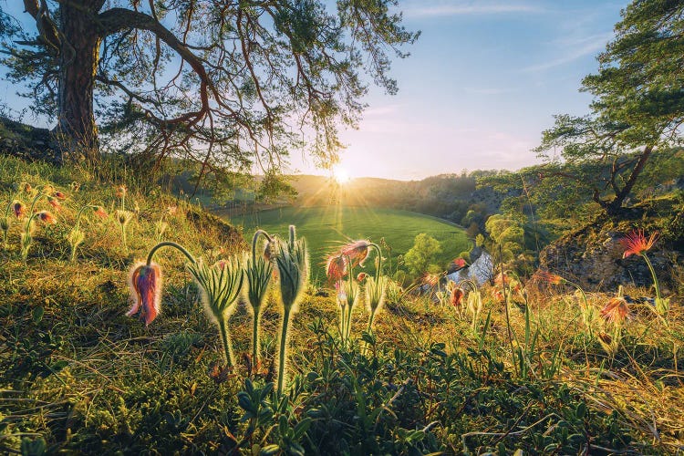 Spring Break by Stefan Hefele wall art