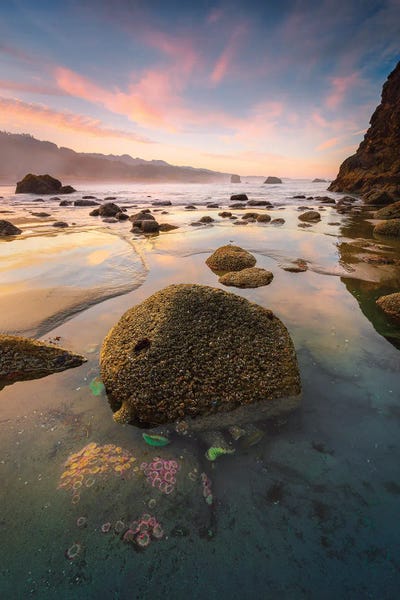 Beach Dwellers by Stefan Hefele framed canvas print