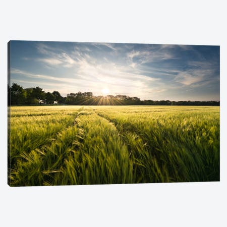 Charmed Country Canvas Print #STF26} by Stefan Hefele Canvas Art