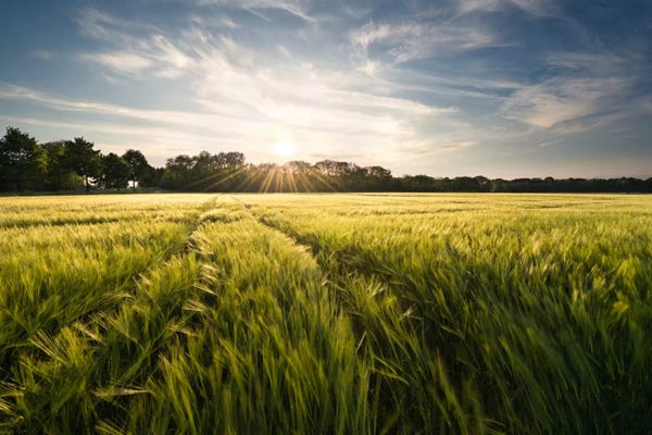 Photography: Charmed Country by Stefan Hefele