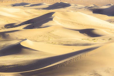 Golden Dunes by Stefan Hefele framed canvas print