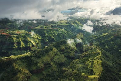 Green Tales by Stefan Hefele framed canvas print