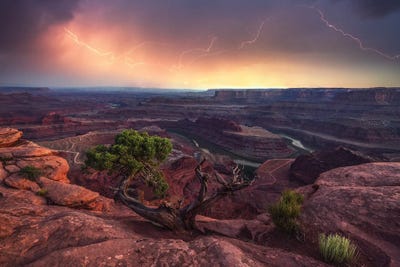 Illumination by Stefan Hefele framed canvas print