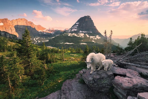 Stefan Hefele: Land Of The Goats by Stefan Hefele