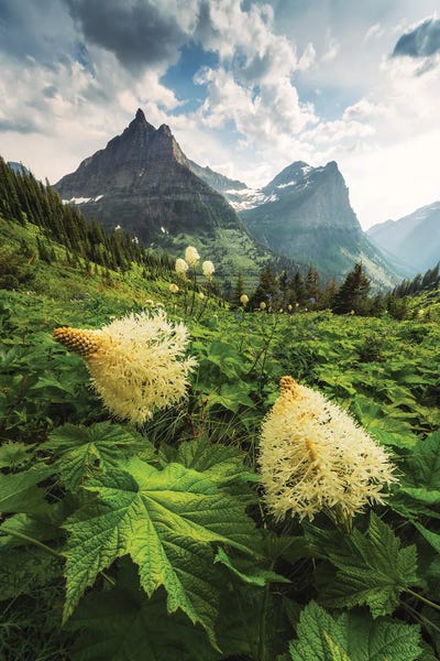 Stefan Hefele: Late Spring In Glacier by Stefan Hefele