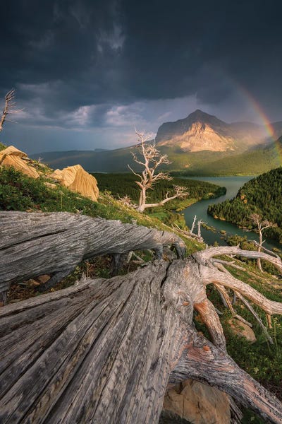 Magic Land by Stefan Hefele framed canvas print