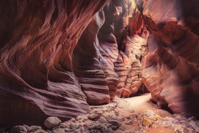 Nugget Canyon by Stefan Hefele art print