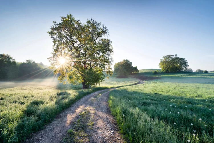 A New Day In Paradise by Stefan Hefele wall art