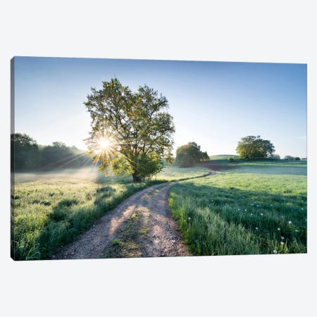 A New Day In Paradise Canvas Print #STF2} by Stefan Hefele Canvas Art