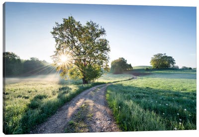 A New Day In Paradise Canvas Art Print - Countryside Art