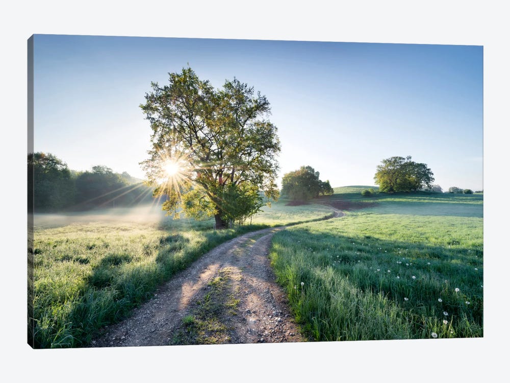 A New Day In Paradise by Stefan Hefele 1-piece Canvas Print