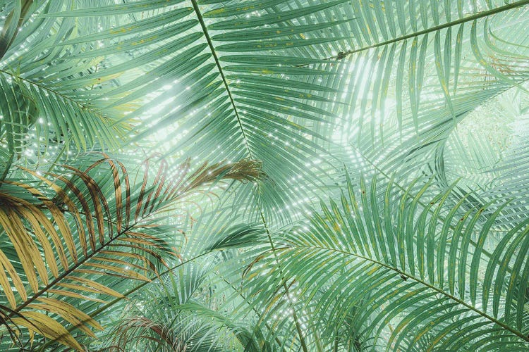 Tropical Foliage XVII