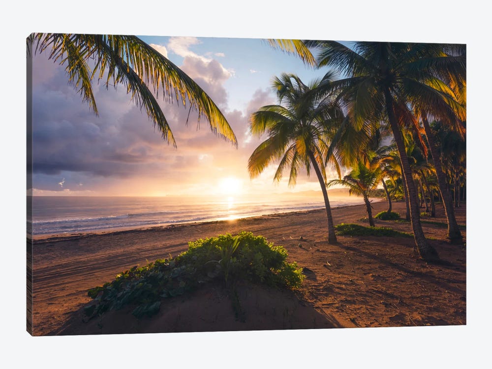 Coco Beach, Puerto Rico by Stefan Hefele 1-piece Canvas Print