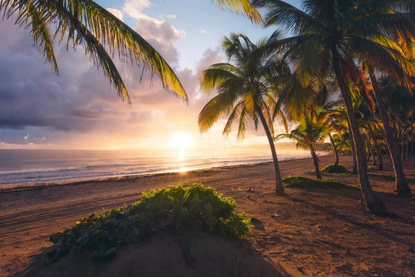 Stefan Hefele: Coco Beach, Puerto Rico by Stefan Hefele