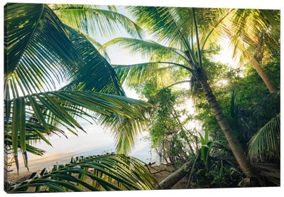 Coconut Jungle Canvas Art Print - Tropical Beach Art