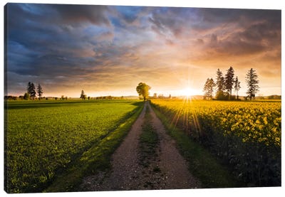 Country Music Canvas Art Print - Countryside Art
