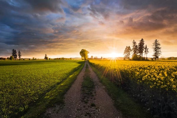 Stefan Hefele: Country Music by Stefan Hefele