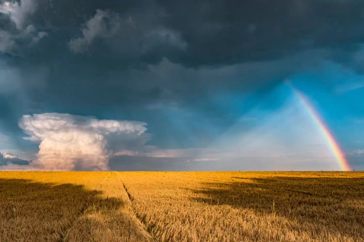 Creation by Stefan Hefele wall art