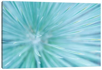 Abstract Canvas Art Print - Turquoise Art