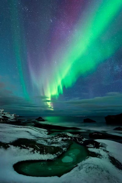 Ponds: Epic Creation by Stefan Hefele