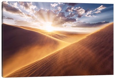 Gently Touched Canvas Art Print - Stefan Hefele