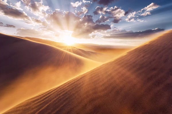 Photography: Gently Touched by Stefan Hefele