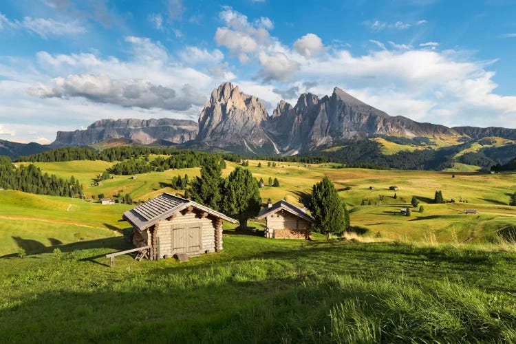 Alpe di Siusi, Alpine Meadow In Italy