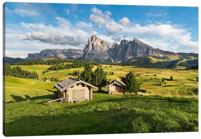 Alpe di Siusi, Alpine Meadow In Italy Canvas Art Print