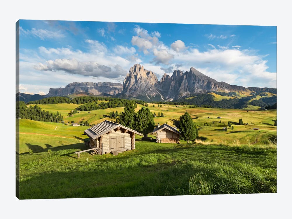 Alpe di Siusi, Alpine Meadow In Italy 1-piece Canvas Print