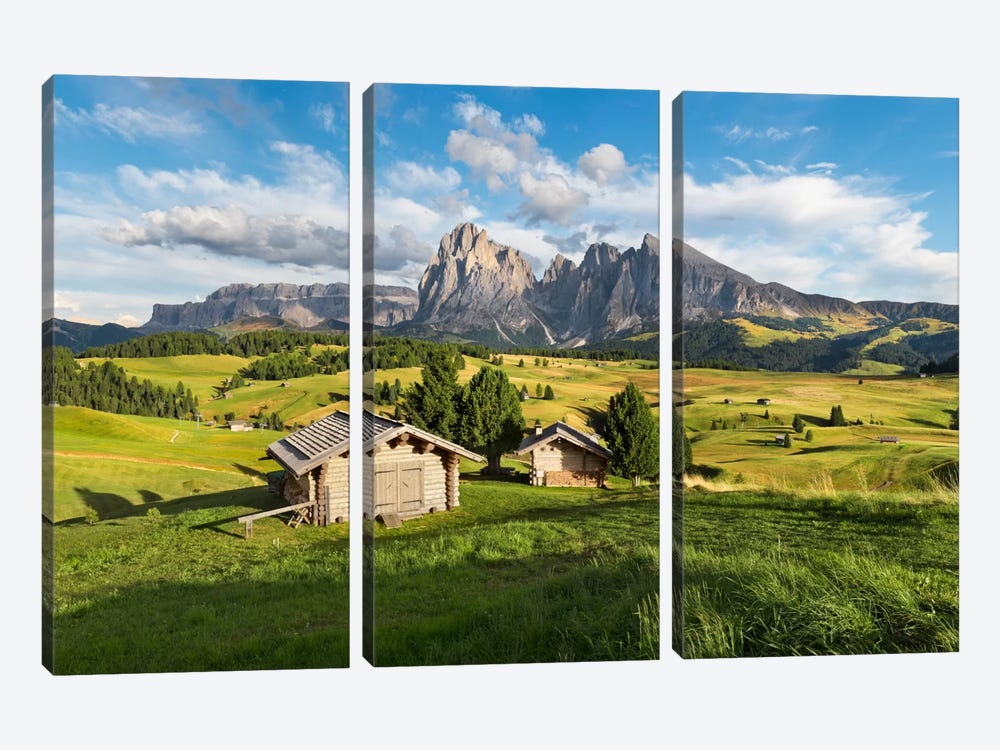 Alpe di Siusi, Alpine Meadow In Italy 3-piece Art Print