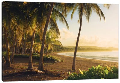 Golden Lands - Puerto Rico Canvas Art Print - Tropical Beach Art