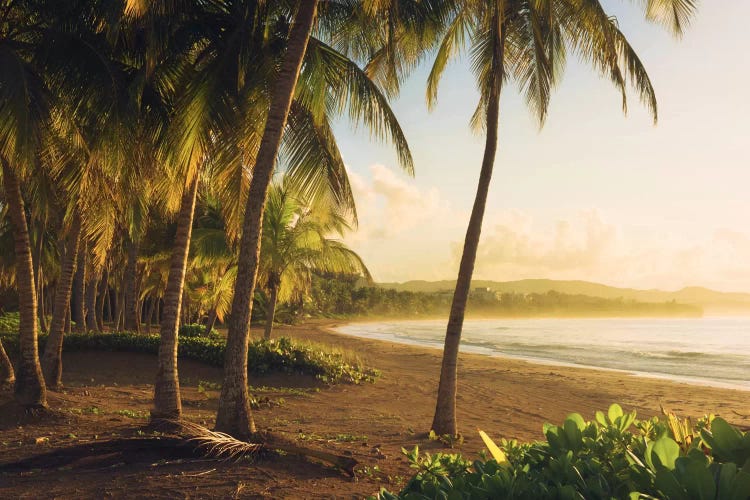 Golden Lands - Puerto Rico by Stefan Hefele wall art