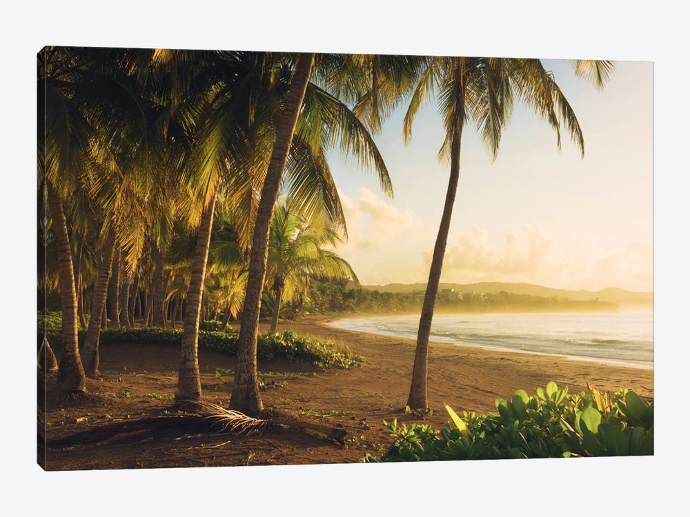 Golden Lands - Puerto Rico by Stefan Hefele 1-piece Canvas Artwork