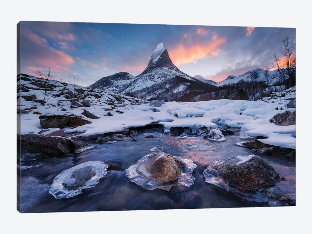 King Of The North by Stefan Hefele 1-piece Canvas Wall Art