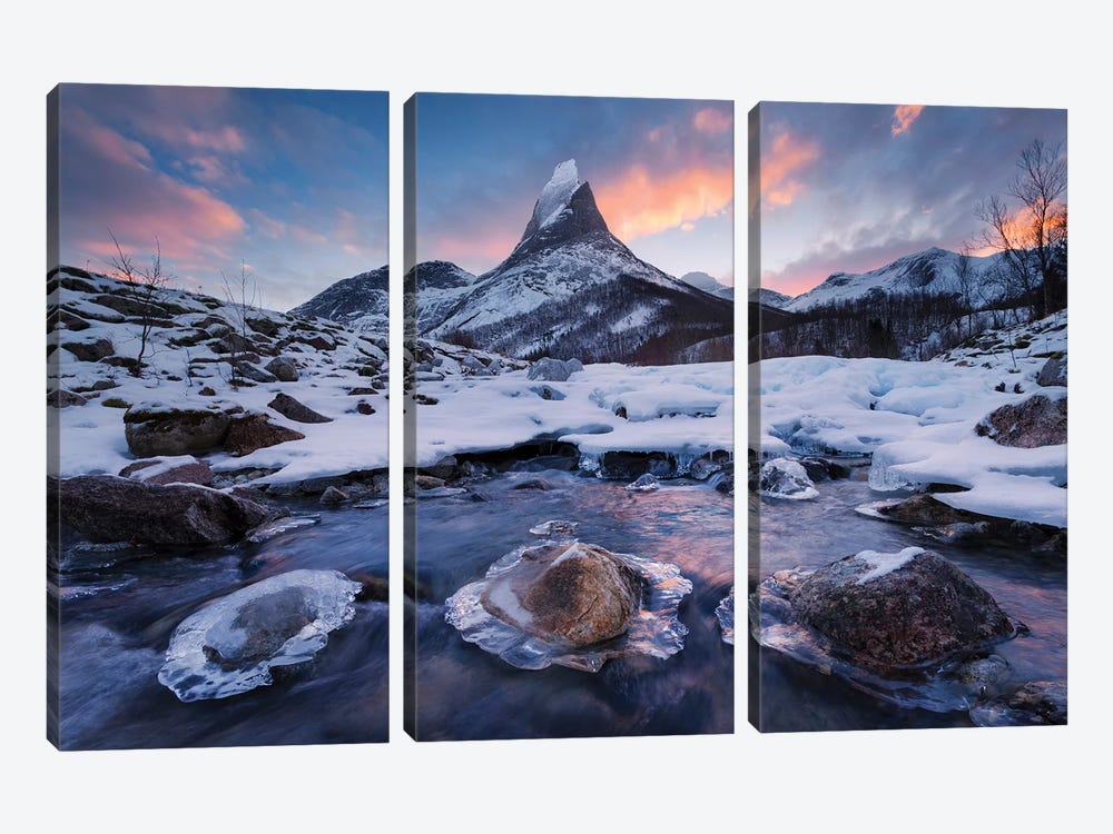 King Of The North by Stefan Hefele 3-piece Canvas Art
