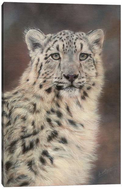 Snow Leopard Portrait Canvas Art Print - Photorealism Art