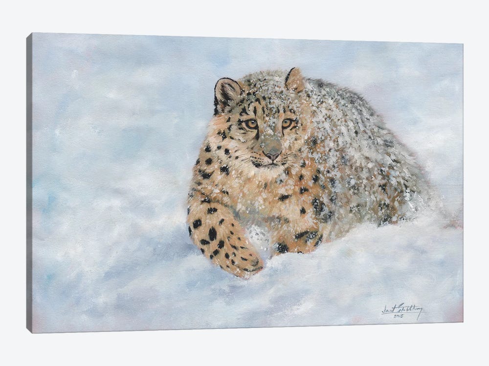 Snow Leopard Snow Final by David Stribbling 1-piece Art Print