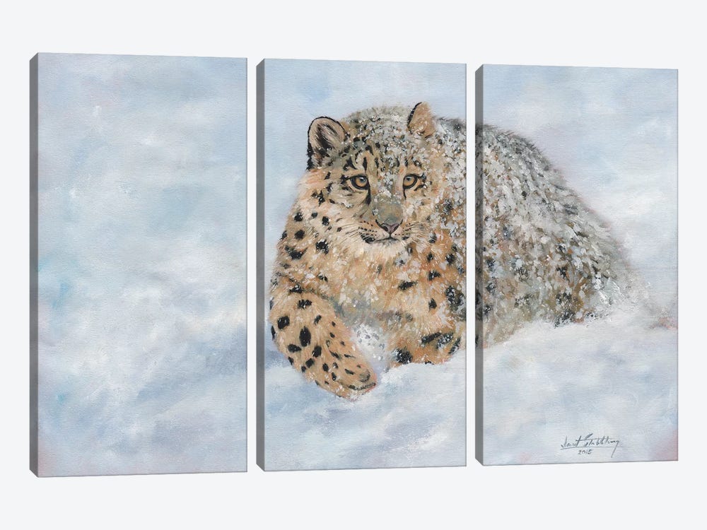 Snow Leopard Snow Final by David Stribbling 3-piece Canvas Art Print