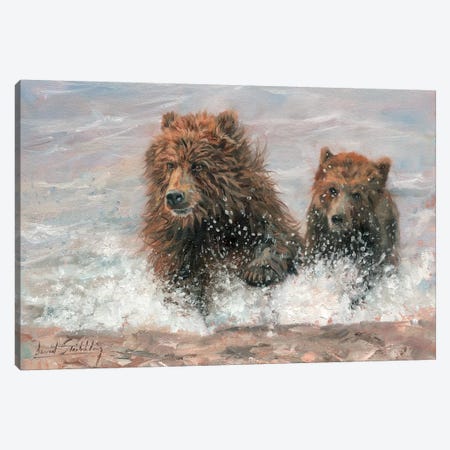 The Bears Are Coming Canvas Print #STG103} by David Stribbling Canvas Wall Art