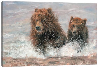 The Bears Are Coming Canvas Art Print - David Stribbling