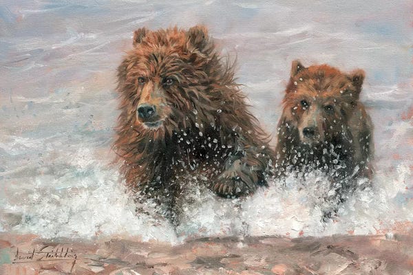 David Stribbling: The Bears Are Coming by David Stribbling