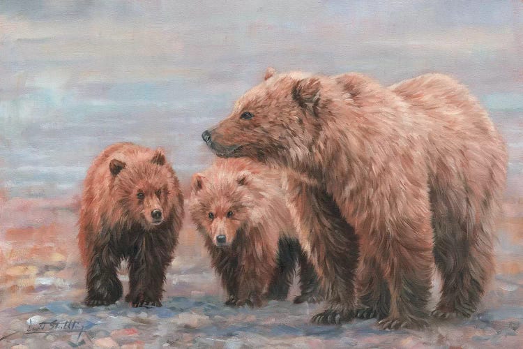 Three Bears